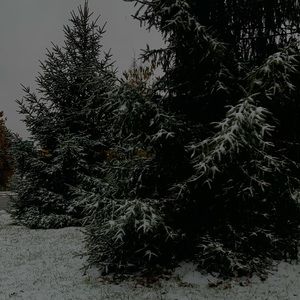 Meet your Posher, Liam